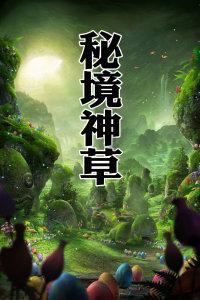 加勒比巡航